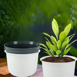 Kuber Industries 4Pcs White & Grey Textured Planters With Plate-12