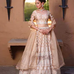 The Front Row Embellished Ready to Wear Lehenga & Blouse With Dupatta-picture-8