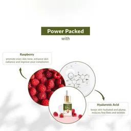 Lotus Botanicals Set Of 3 Ultra Glow & Hydration Boosting Serum - 14 ml Each image 5