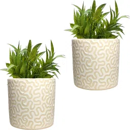White RD-1 Pipe Ceramic Pot Size 4x4inch GH0022-10 Plant Container Set-image-36