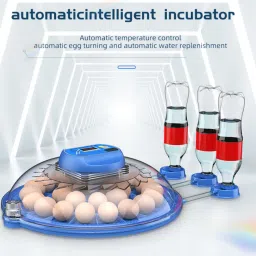 tm&w 8 eggs small size automatic mini incubator for hatching chicken eggs. Egg Incubator image 3