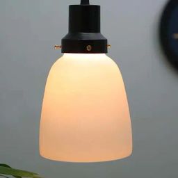 Homesake Matt Black & White Metal Vintage Fixtures Adjustable Frost Bell Hanging Light-image-36
