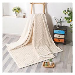 Butterthief Cozy Super Soft Warm Double Layered Kids Sherpa Blanket - White-image-85