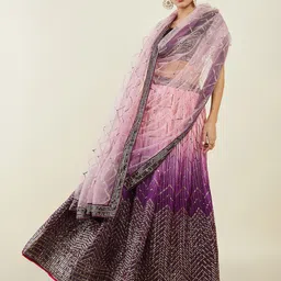 DIVASTRI Embellished Sequinned Semi-Stitched Lehenga & Unstitched Blouse With Dupatta-picture-19