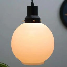 Homesake Matt Black & White Metal Vintage Fixtures Adjustable Frost Globe Hanging Light-image-89