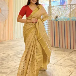 DIVASTRI Woven Design Zari Tissue Banarasi Saree-image-14