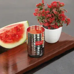 HAZEL Hammered Finish Silver Stainless Steel Drinking Water Glass (350ml)-picture-11