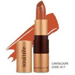 SoulTree Ayurvedic Lipstick - Cantaloupe 817 - 4 gm | Organic Lipstick-100