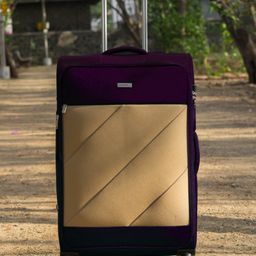 Carriall Slash Purple and Beige Large  Soft Luggage (28 inch)- Purple-image-68