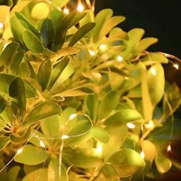Homesake Yellow Copper 50-Led Fairy String Lights-1