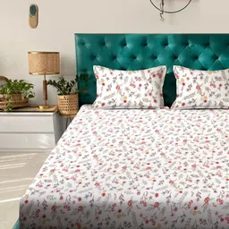 KLOTTHE Off White Printed 300 TC Super King Bedsheet With 2 Pillow Covers - 2.70 x 2.70 m-image-82