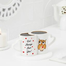 Owl Always Love You Personalized Couples Mug-17