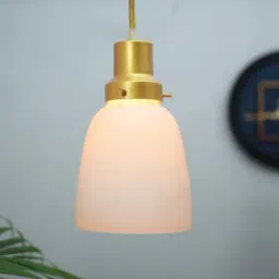 Homesake Glossy Golden Metal Vintage Fixtures Adjustable Frost Bell Hanging Light-image-90