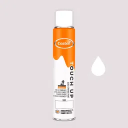 Coatee COAT-14 Clear Lacquer Gloss Multi Purpose General Touchup Spray Paint  300 GM-9