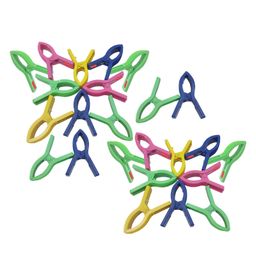 HAZEL Plastic Cloth Clips For Drying Clothes Set of 24 - Multi Color-3