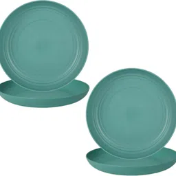 oicia Kitchen Plates, Side Plates, Food Plates for Lunch, Eco-Friendly Lunch Plates Dinner Plate-picture-31