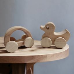 neemtoys Pack of 2 Elegant Wheel Toys - Hallow Car & Duck Shapes-19