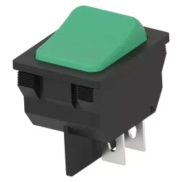 AMP - TE CONNECTIVITY ROCKER SWITCH, DPST, 16A, 125V, PANEL, 1634201-5-34