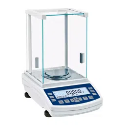 EWS Laboratory Weighing Scale 600 g Weighing Capacity, LS10MG-19