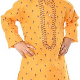 NFC CREATION Boys Floral Printed Regular Thread Work Kurta with Pyjamas image 2