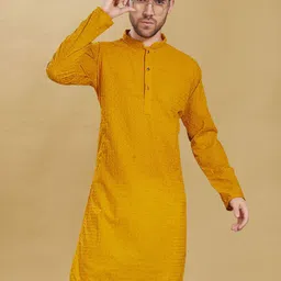PulseIQ Men Embroidered Thread Work Kurta-image-9