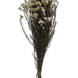 ArteCasa White & Green Artificial Flower-31