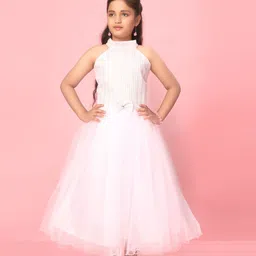 BAESD Net A-Line Dress image 1