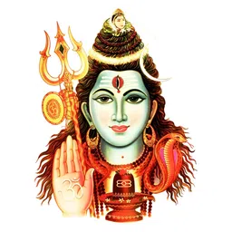 Decor Villa Multicolour Shiva Wall Sticker-picture-33