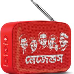 SAREGAMA Carvaan Mini Bengali 5 W Bluetooth Speaker-22