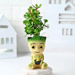 Jade Groot Plant-image-23