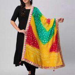 Aditi Wasan Multicolor Printed Bandhani Dupatta-20