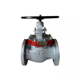 TS Flow 300 mm CF8M Flanged End Cast Steel Gate Valve Class- 300-27