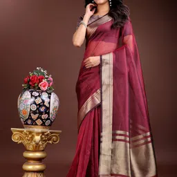 Astita Zari Organza Saree-image-78