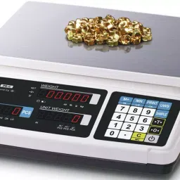 CAS PR-C 15 Kg 13.3x8.4 inch Counting Weighing Machine-48