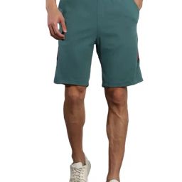 Tommy Hilfiger Frosted Green Regular Fit Striped Shorts-image-63