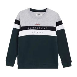 Cantabil Kids Green & Grey Color Block Full Sleeves Sweatshirt-image-27