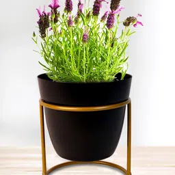Nymph Black Flower Planters With Stand-image-84