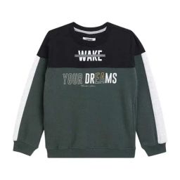 Cantabil Kids Black & Green Color Block Full Sleeves Sweatshirt-image-86