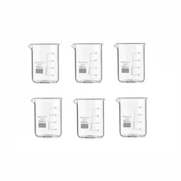 RANDHAWA GLOBAL Borosilicate Glass Graduated Beaker 100 ml with Spout, RG-11302 (Pack of 6 Pcs)-19