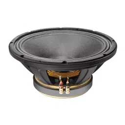 Ahuja 300W RMS PA Speaker L12MB-300-12