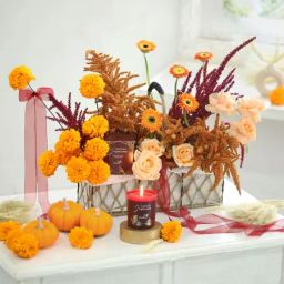 Mahogany Sunset-image-75