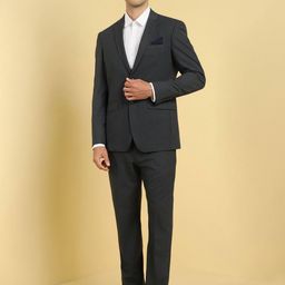 Allen Solly Textured Slim Fit Single-Breasted Two-Piece Formal Suit-image-85
