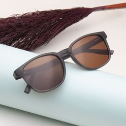 Ted Smith Unisex Brown Wayfarer Sunglasses With Polarised Lens-26