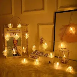 X4Decor 20 Led Heart Shape Photo Clip String Light Plug In Warm White HC03-0