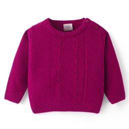 Doodle Poodle Knitted Full Sleeves Pullover Sweater with Cable Knit Design - Fuchsia Pink-image-63
