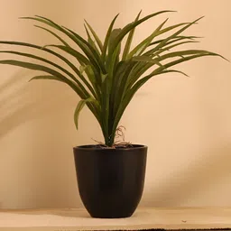 Elemntl Green & Black Dracaena Artificial Grass Plant With Pot-28
