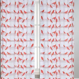 Dekor World Multicoloured Set of 2 Long Door Curtain-15