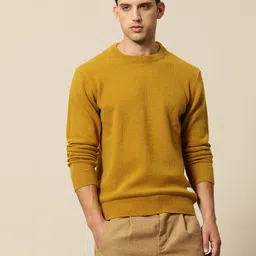 Mr Bowerbird Woollen Tailored Fit Pullover Sweater-picture-50