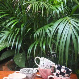 WEAVING HOMES Red & Black 6 Pieces Printed Ceramic Matte Mugs-image-16