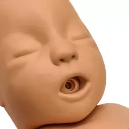 A-ONE SCIENCE PVC Advanced Infant CPR Training Manikin AOSBM303 image 2